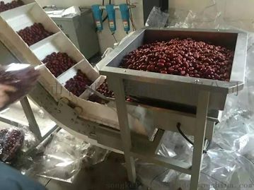 全自动红枣定量包装机械 新疆大枣包装机